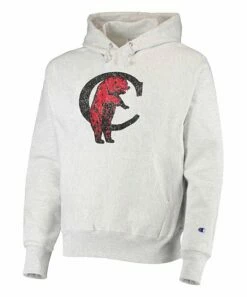 Best Pirce 😀 Champion Cincinnati Bearcats Team Vault Logo Reverse Weave Hoodie - Men 😀