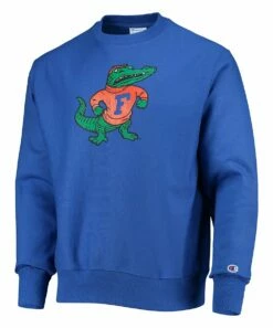Best reviews of 🔔 Champion Florida Gators Vault Logo Reverse Weave Sweatshirt - Men ❤️