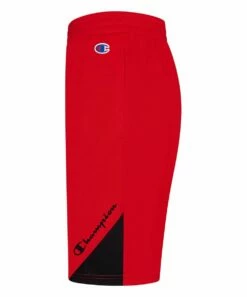 Champion Sales -Champion Sales zu101428651 alt 1 tm1646243989