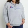 Cheap ⌛ Champion Oxford Gray Plus Powerblend Hoodie - Plus 👏