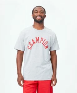 Promo π Champion Oxford Gray Classic Tee - Men β¨
