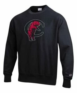 Hot Sale βοΈ Champion Cincinnati Bearcats Vault Logo Reverse Weave Sweatshirt - Men π―