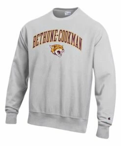 Buy 👏 Champion Bethune-Cookman Wildcats Arch Over Logo Reverse Weave Sweatshirt - Men 👍
