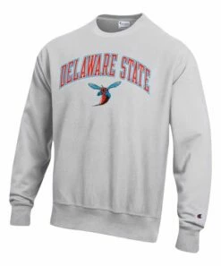 Cheap ⌛ Champion Delaware State Hornets Arch Over Logo Reverse Weave Sweatshirt - Men 💯