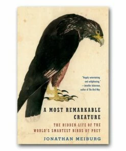 Best reviews of 🌟 Penguin Random House A Most Remarkable Creature Paperback 🥰