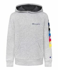 Top 10 π Champion Oxford Heather Multicolor C Rings Fleece Hoodie - Boys βοΈ