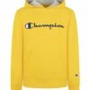 Hot Sale 😉 Champion Team Gold & Navy Embroidered Script Logo Hoodie - Boys 🥰