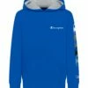 Coupon ⌛ Champion Bozetto Blue Multicolor C Rings Fleece Hoodie - Boys ❤️