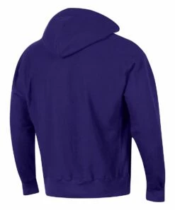 Best reviews of 😍 Champion Northwestern Wildcats Team Arch Reverse Weave Hoodie - Men ⌛ -Champion Sales zu105249509 alt 2 tm1652276668