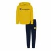 Flash Sale 🌟 Champion Team Gold Logo Hoodie & Navy Logo Joggers - Toddler & Boys 🔥