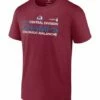 Brand new 🛒 Fanatics Colorado Avalanche 2022 Central Division Champions Tee - Big & Tall 💯