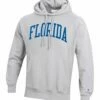 Discount 👏 Champion Florida Gators Reverse-Weave Fleece Hoodie - Big & Tall 😀