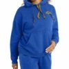 Buy 🛒 Champion Deep Dazzling Blue Powerblend Vintage Wash Hoodie - 👩 Women 🎉