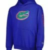 Cheap 👍 Champion Florida Gators Two-Hit Logo Pullover Hoodie - Boys ⭐