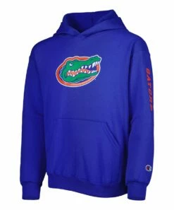 Cheap 👍 Champion Florida Gators Two-Hit Logo Pullover Hoodie - Boys ⭐