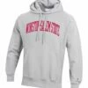 Coupon 🌟 Champion Winston-Salem State Rams Tall Arch Hoodie - Men 🎉