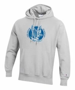 Cheap 👏 Champion Air Force Falcons Team Vault Logo Hoodie - Men ⭐