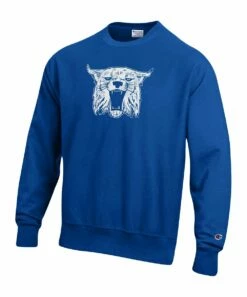 Discount 🥰 Champion Royal Kentucky Wildcats Vault Logo Reverse Weave Sweatshirt - Men ✨