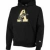 Best reviews of 🎁 Champion Army Black Knights Vault Logo Reverse Weave Hoodie - Men 💯