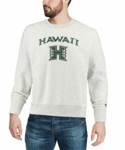 Outlet 👏 Champion Hawaii Warriors Arch Over Logo Sweatshirt - Men ✔️ -Champion Sales zu111516011 alt 3 tm1672948507