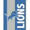 Coupon 🎉 Evergreen Detroit Lions Embellished Outdoor Flag 🔔