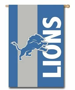 Coupon 🎉 Evergreen Detroit Lions Embellished Outdoor Flag 🔔