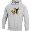 Brand new 🔔 Champion Iowa Hawkeyes Vault Logo Reverse Weave Hoodie - Men ⌛
