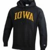 Brand new 😉 Champion Iowa Hawkeyes Team Arch Reverse Weave Hoodie - Men 💯